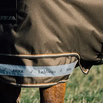Le Mieux Arika Ripstop 200g Turnout Rug Alpine