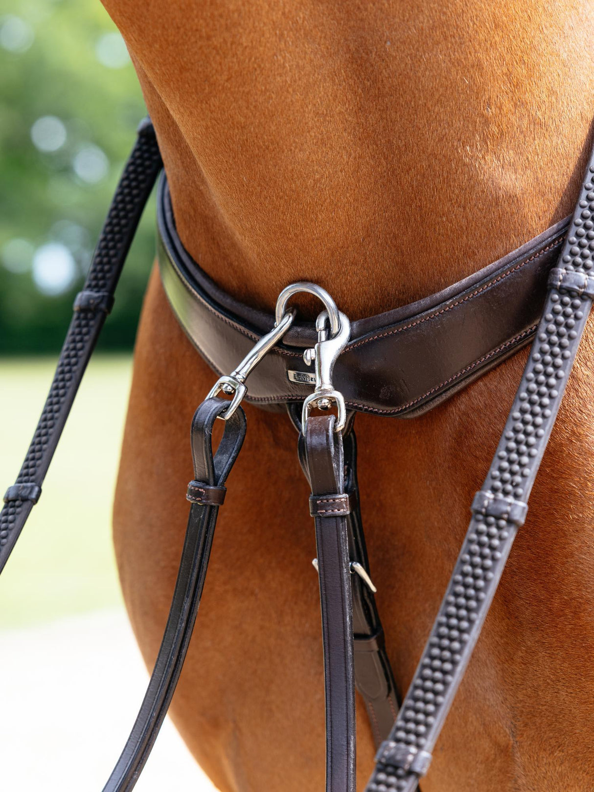 Le Mieux Kudos Bridge Breastplate