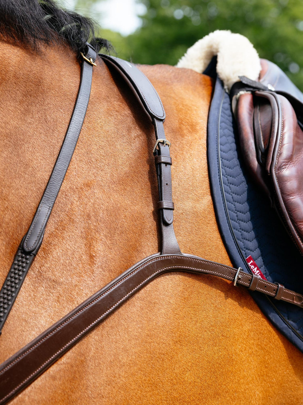 Le Mieux Kudos Bridge Breastplate