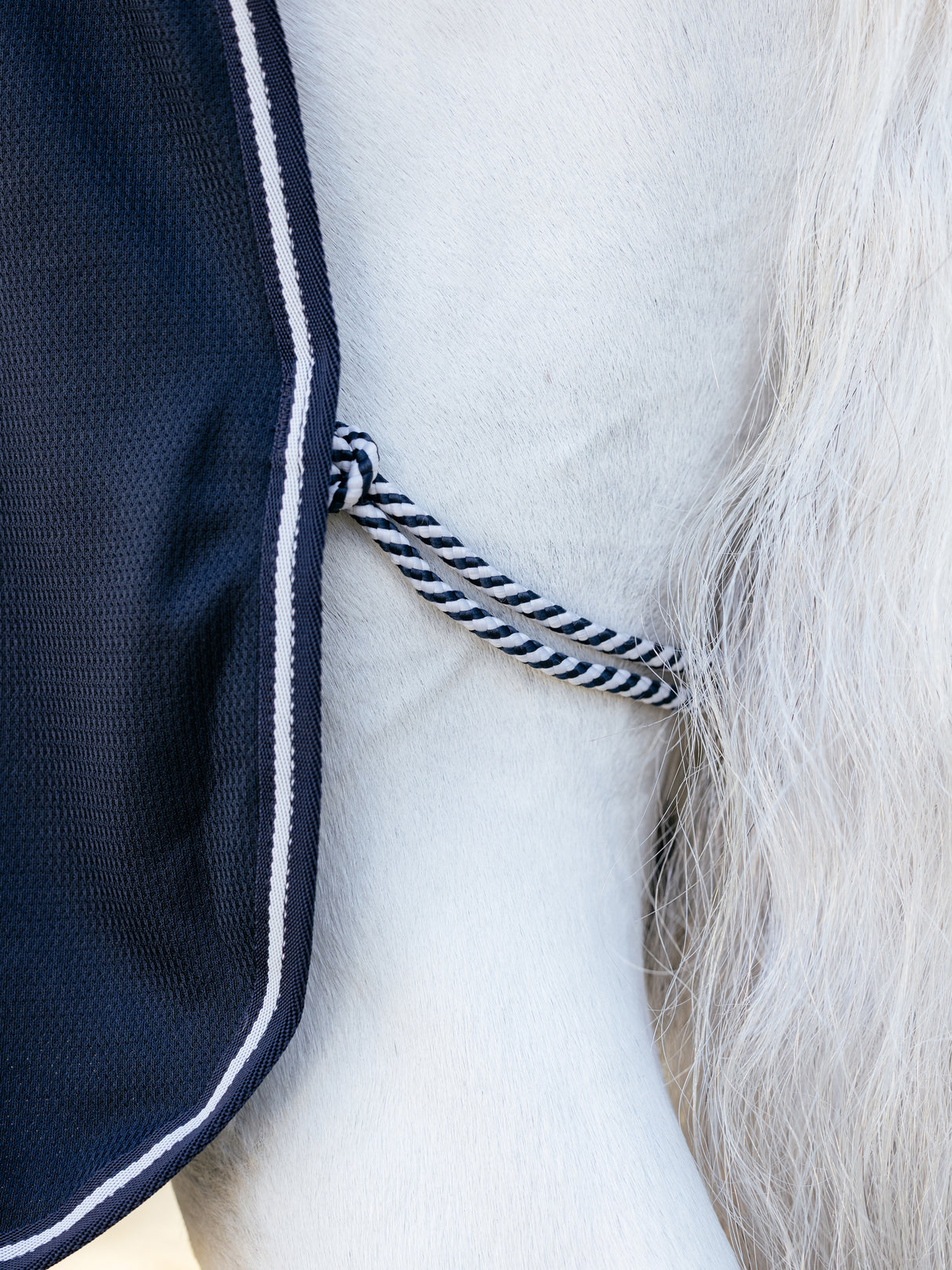 Le Mieux Arika DryEase Rug Navy