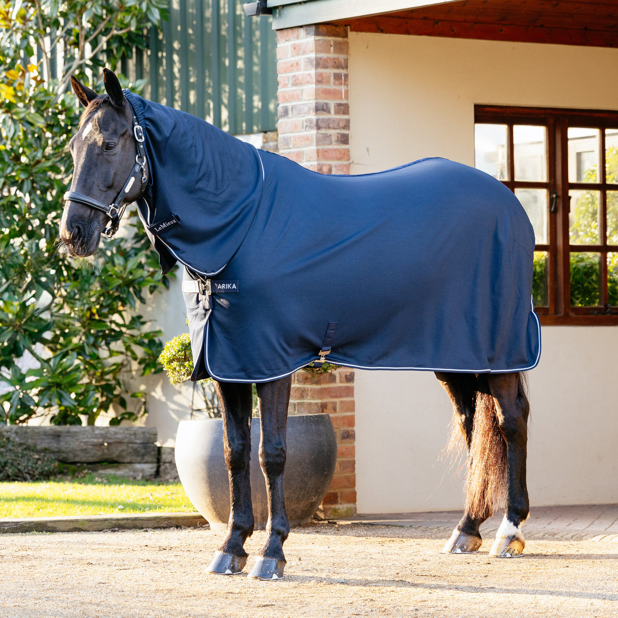 Le Mieux Arika DryEase Rug Navy