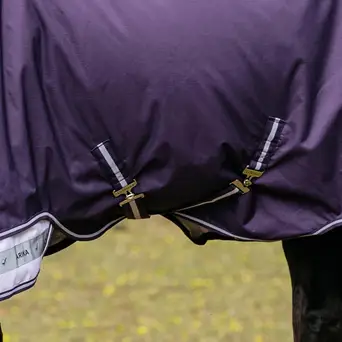 Le Mieux Arika Ripstop 100g Turnout Rug Juniper