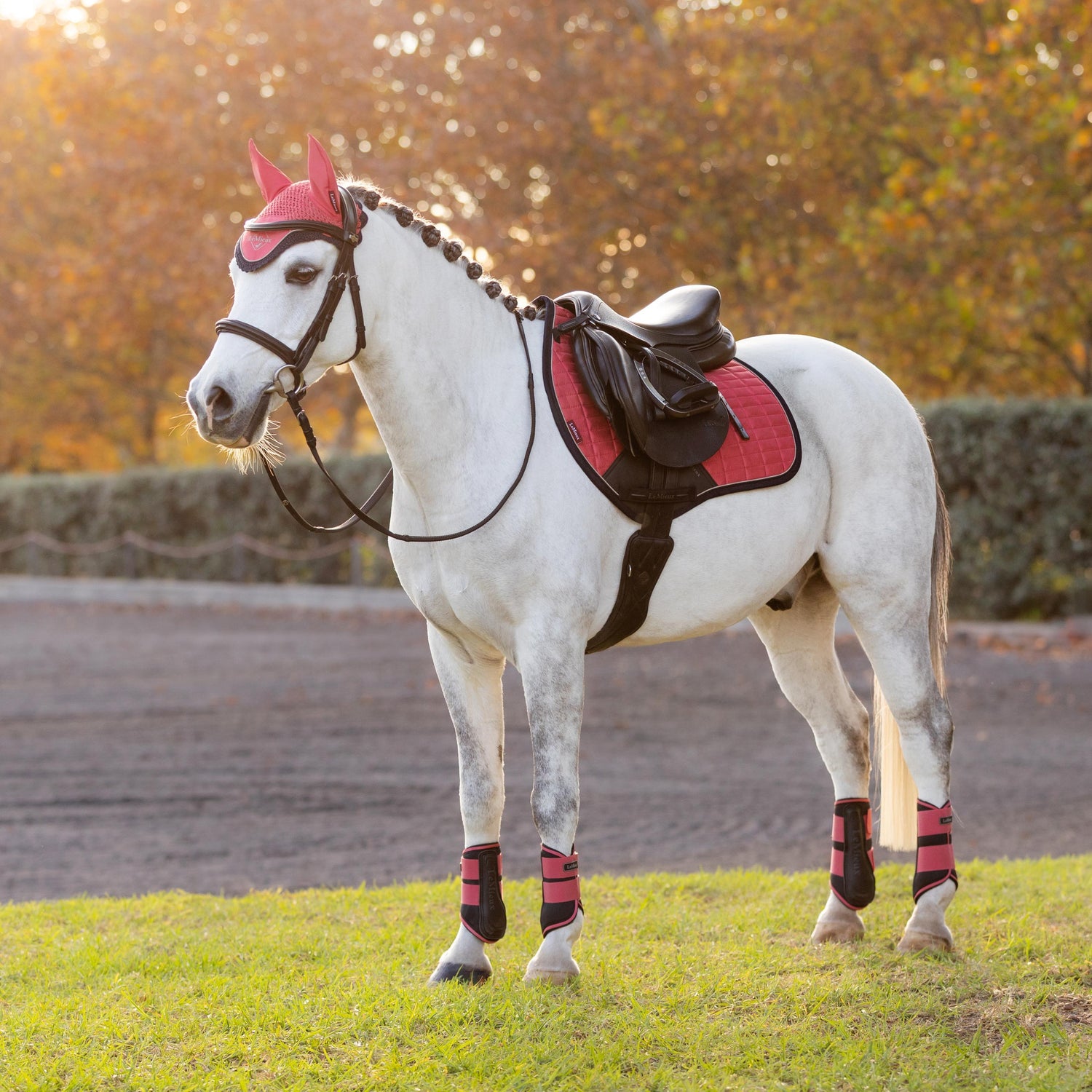 Le Mieux Mini Suede Close Contact Square Cranberry XS