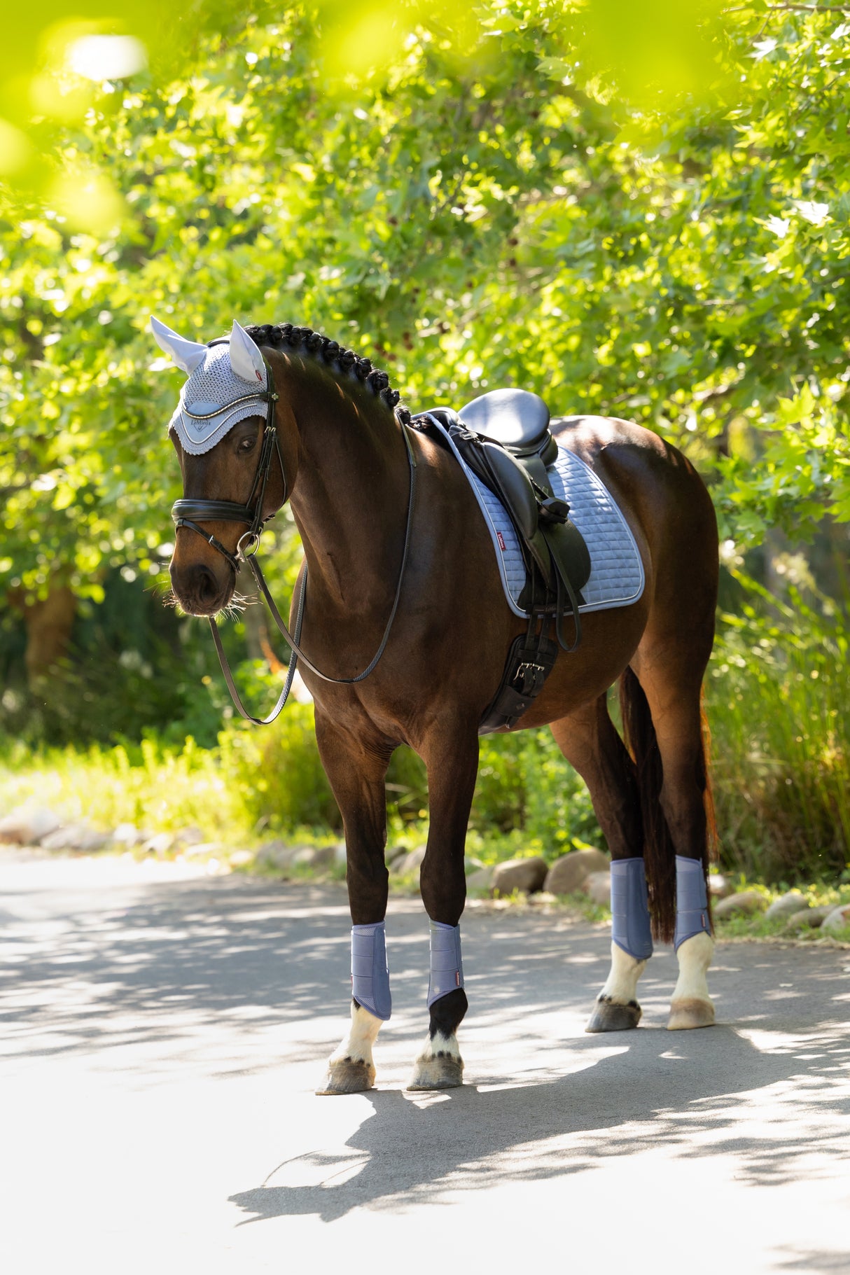 Le Mieux Suede Dressage Square Powder Blue
