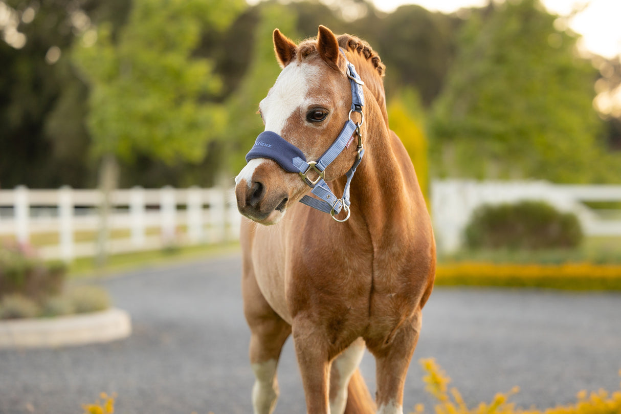 Le Mieux Mini Vogue Headcollar & Leadrope Powder Blue