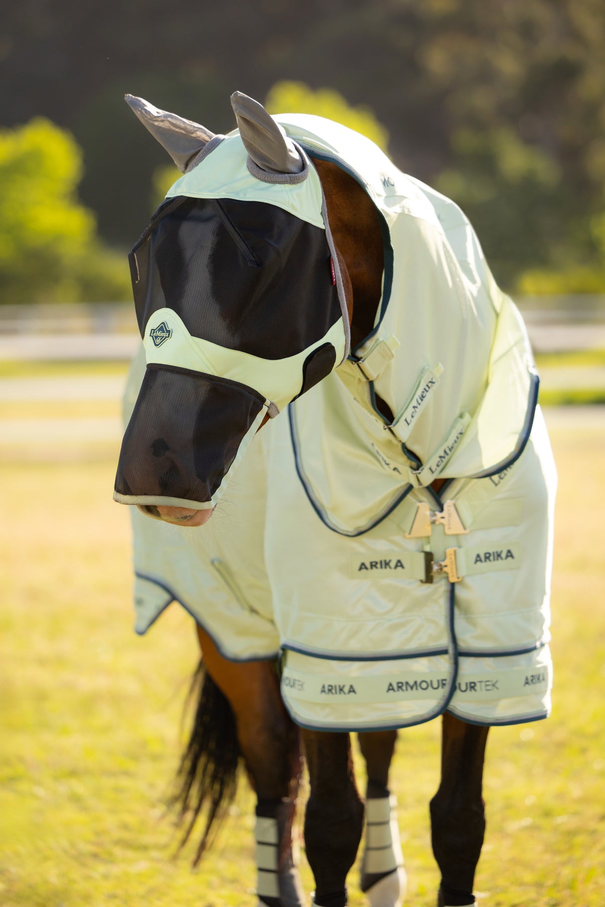 Le Mieux Visor-Tek Full Fly Mask Macaron