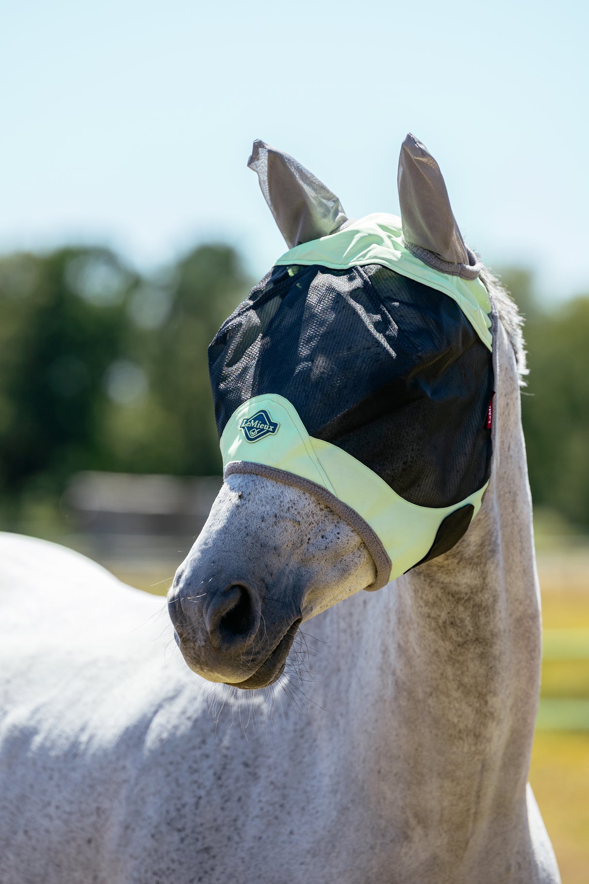 Le Mieux Visor-Tek Half Fly Mask Macaron