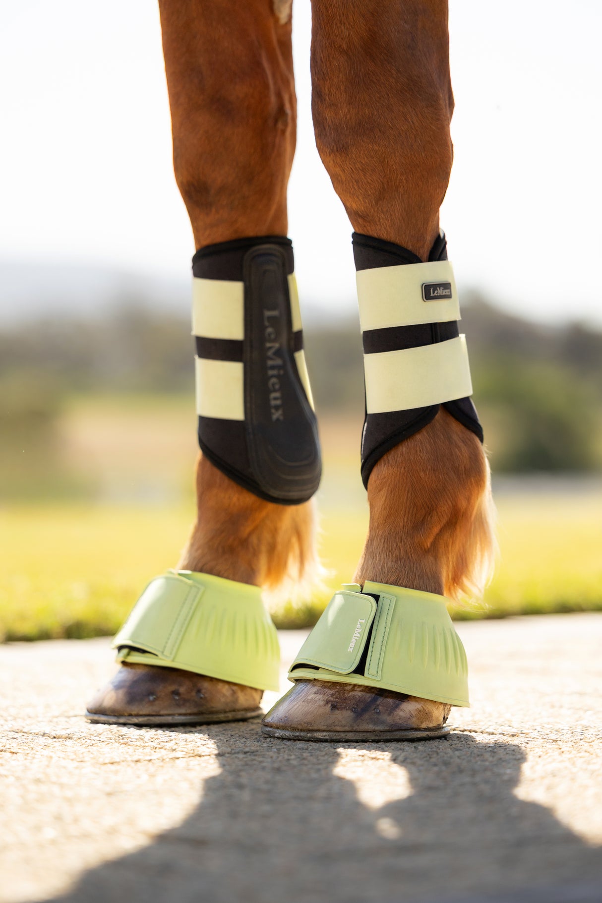 Le Mieux Rubber Bell Boots Macaron