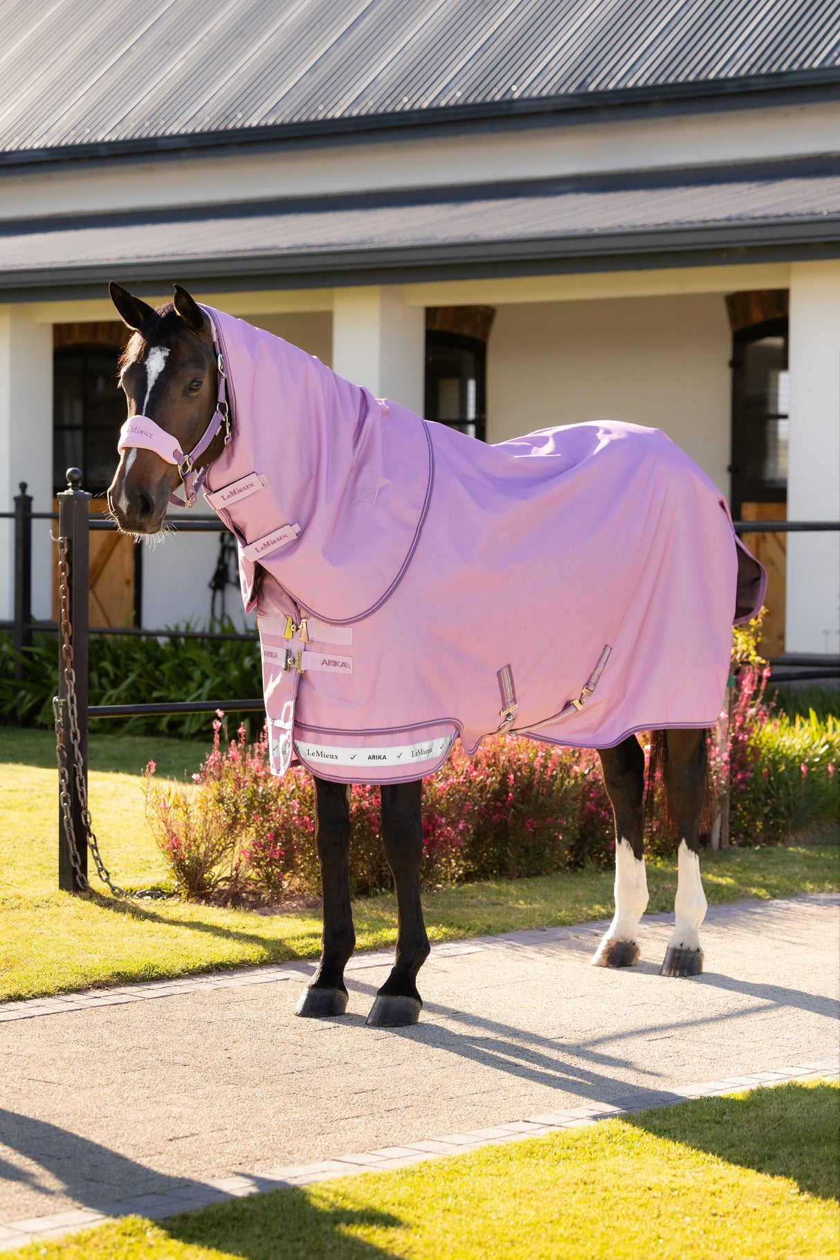 Le Mieux Arika Ripstop 0g Turnout Rug Fondant