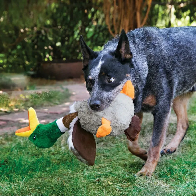 KONG Shakers Honkers Duck Large