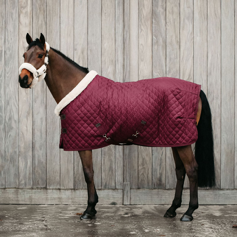 Kentucky Horsewear Show Rug 160g