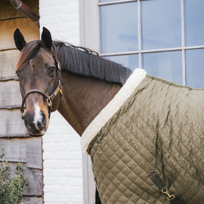 Kentucky Horsewear Show Rug 160g