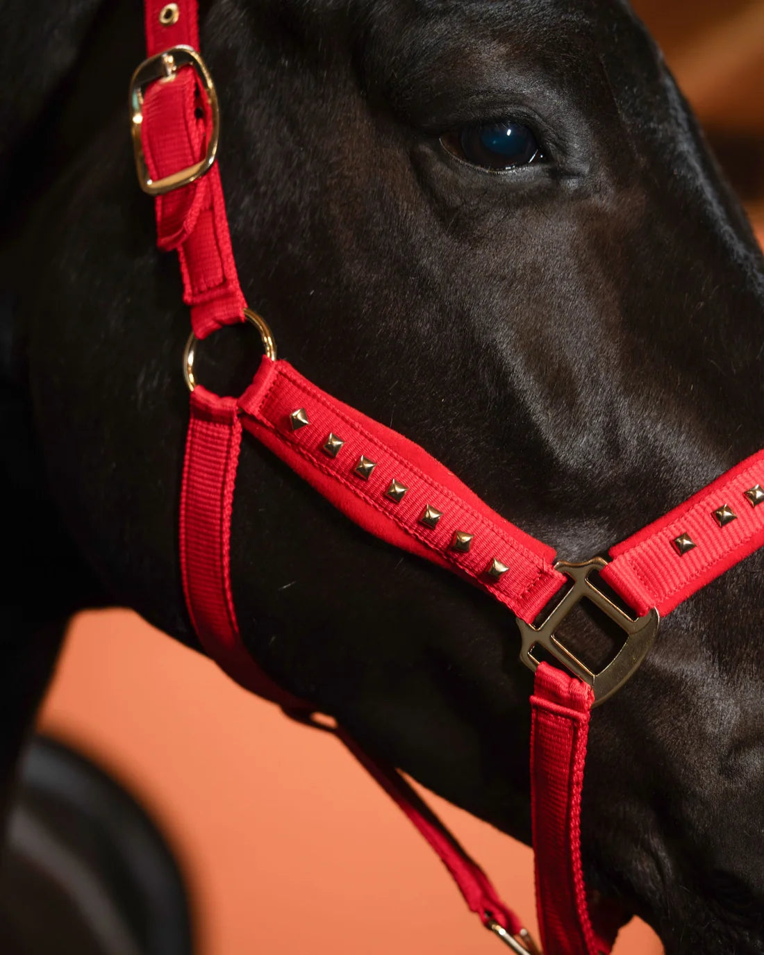 Imperial Riding Headcollar IRHDevil Red