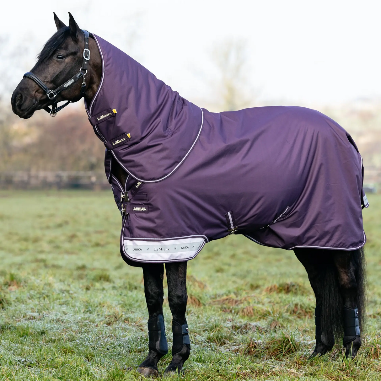 Le Mieux Arika Ripstop 100g Turnout Rug Juniper