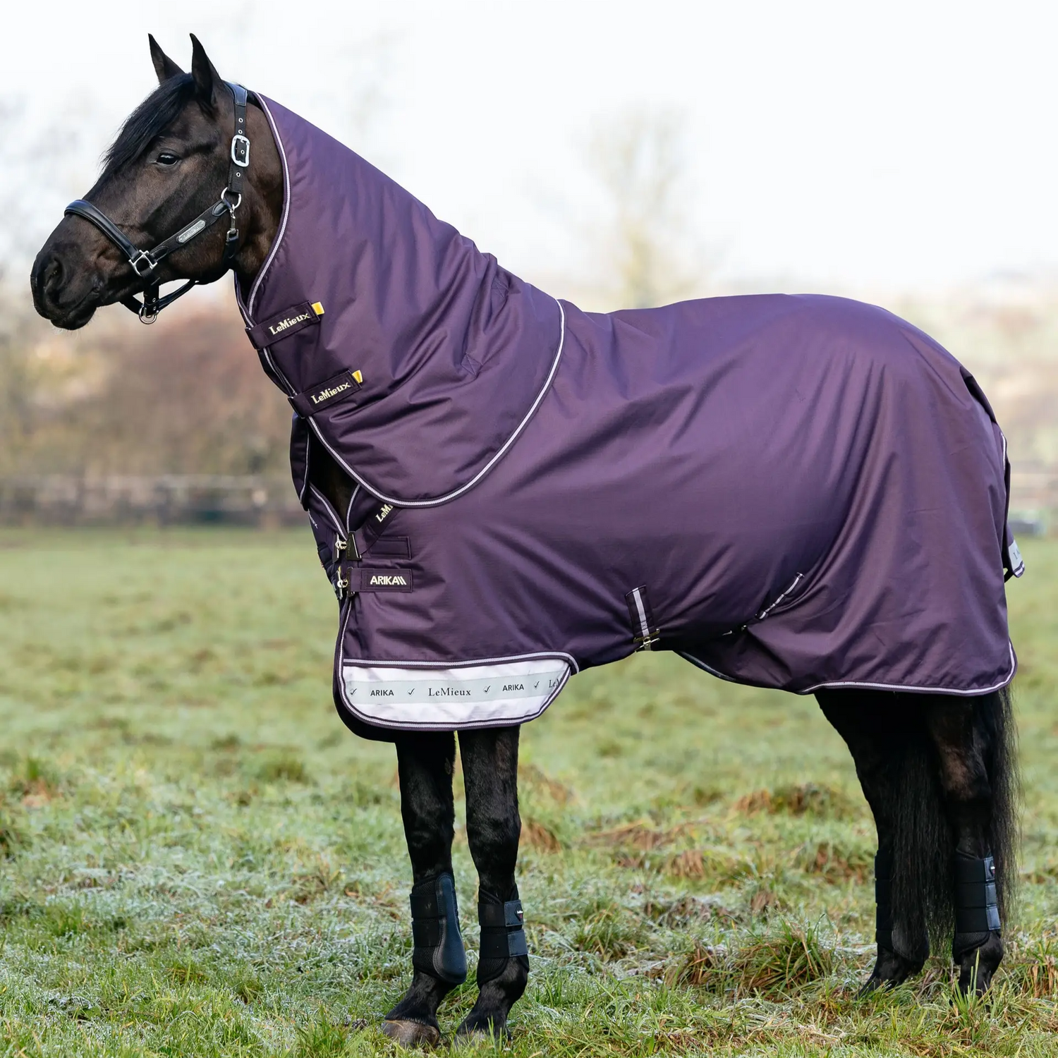 Le Mieux Arika Ripstop 100g Turnout Rug Juniper