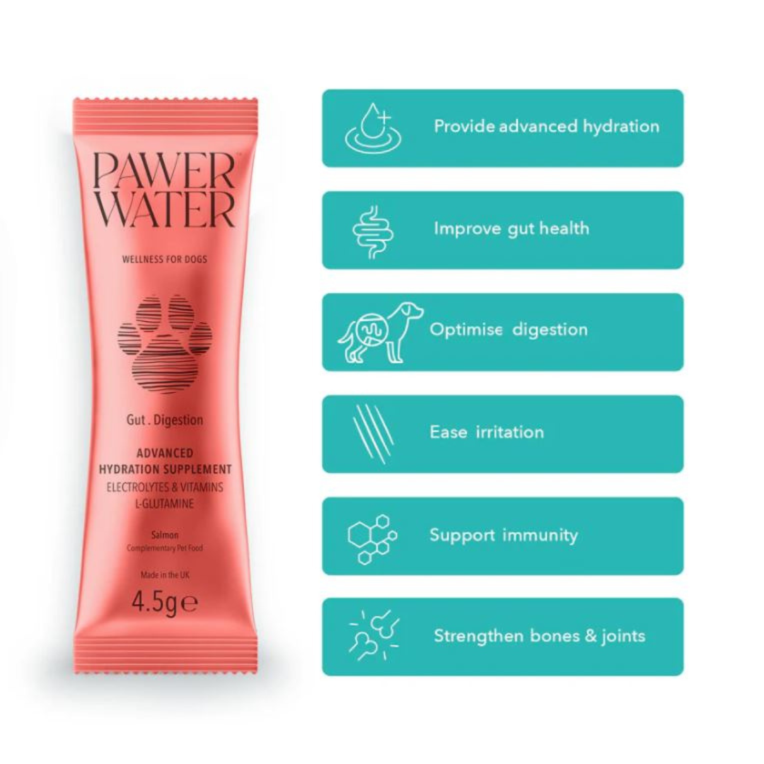 Pawer Water Gut & Digestion Advanced Wellness Hydration Supplement for Dogs - 5 pack