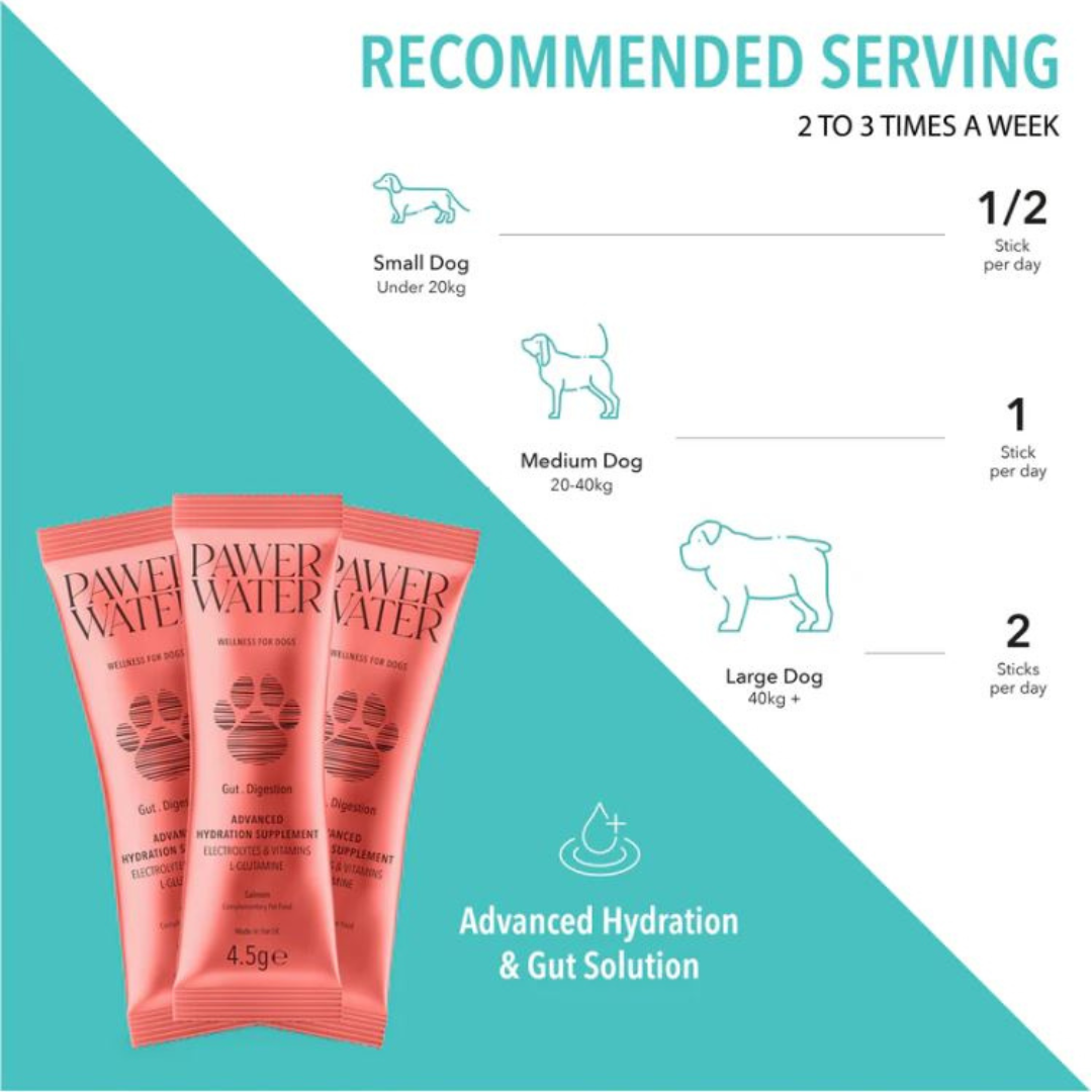 Pawer Water Gut & Digestion Advanced Wellness Hydration Supplement for Dogs - 5 pack