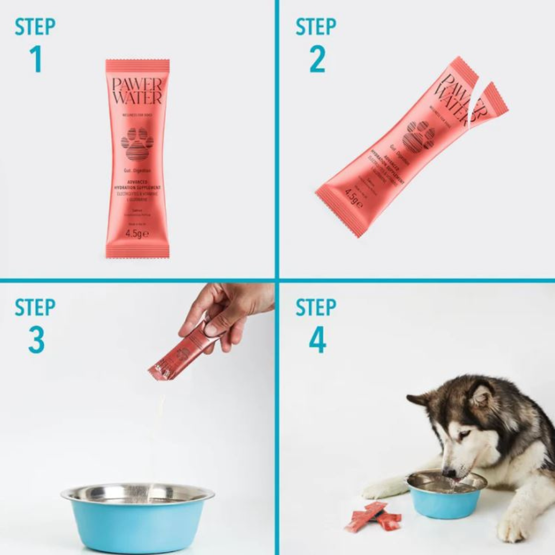 Pawer Water Gut & Digestion Advanced Wellness Hydration Supplement for Dogs - 5 pack