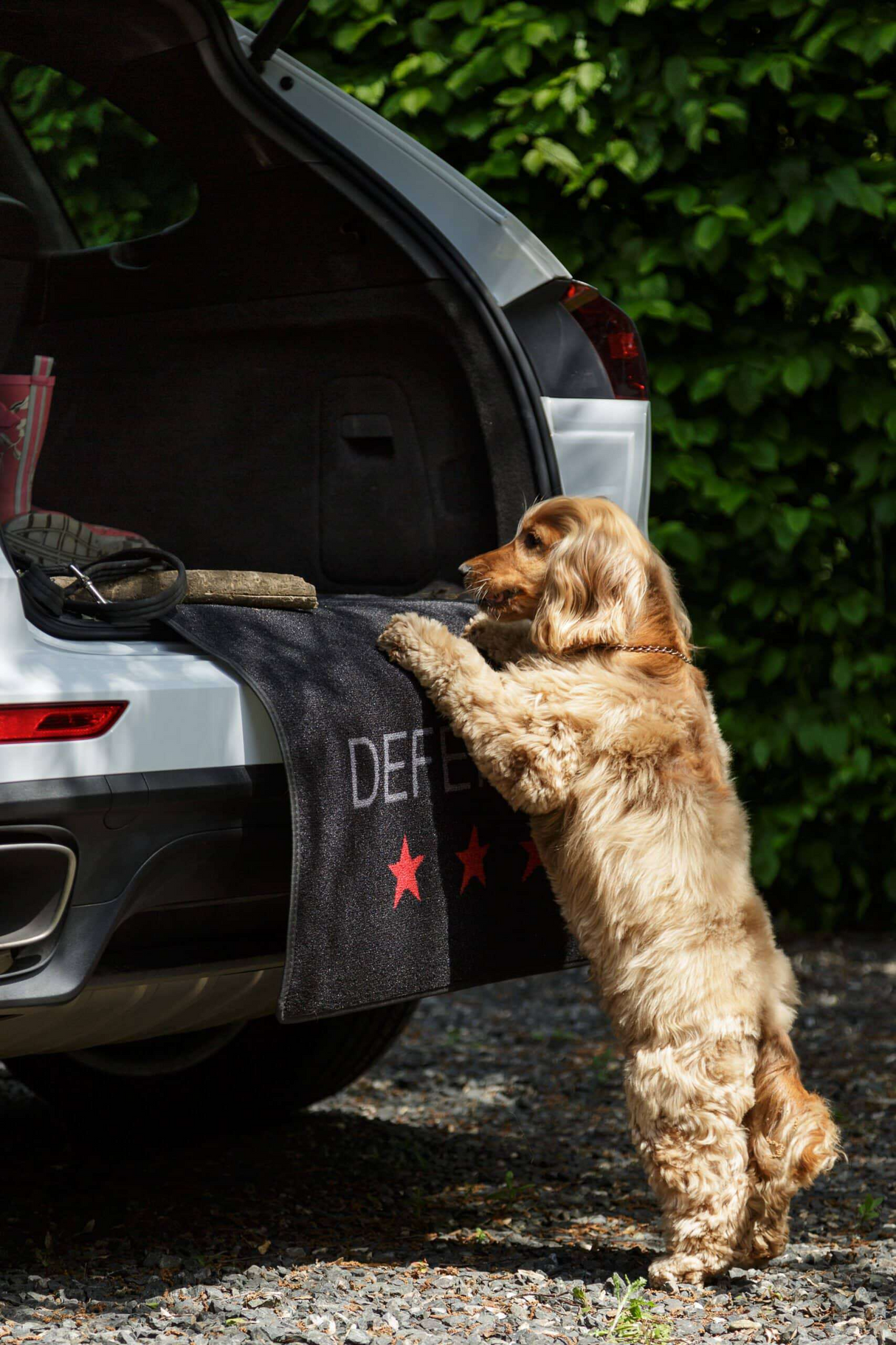Pet Rebellion Defender Car Protection Mat