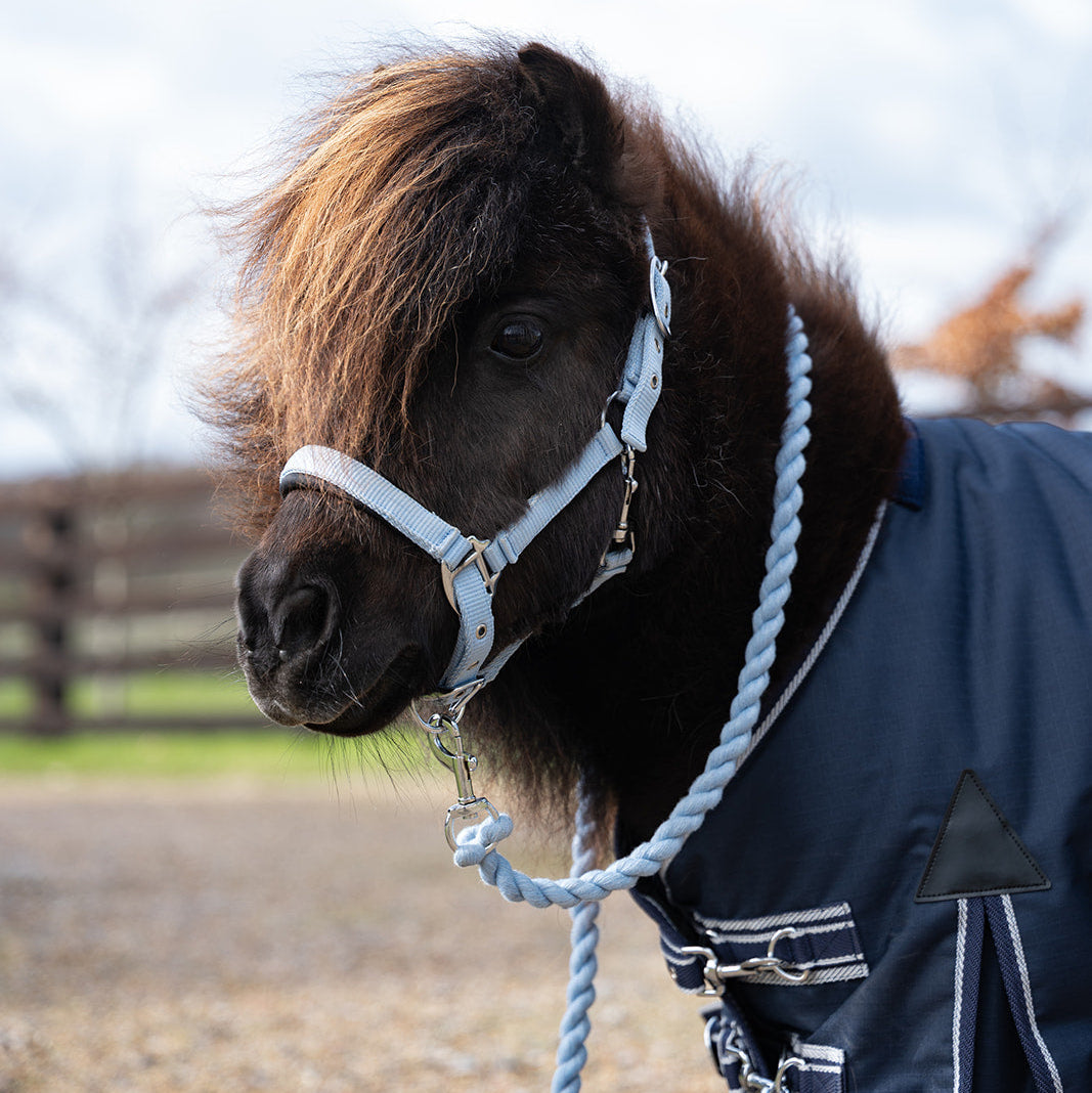 Rhinegold Mini Sorbet Padded Headcollar & Rope Set Bubblegum Blue