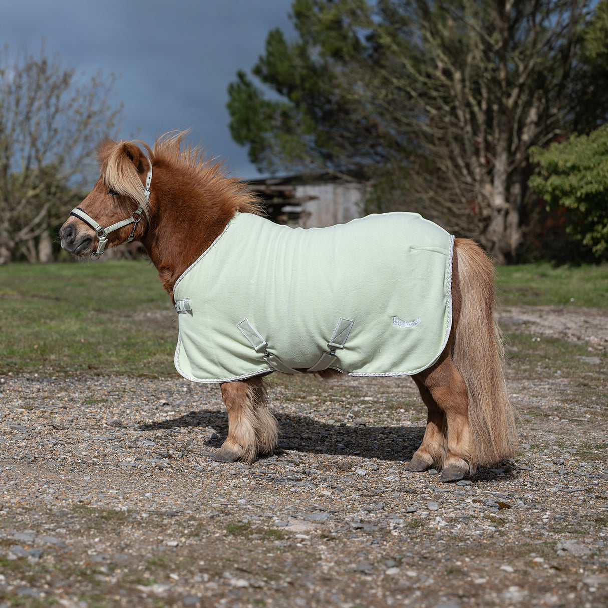 Rhinegold Mini Sorbet Fleece Pistachio Green