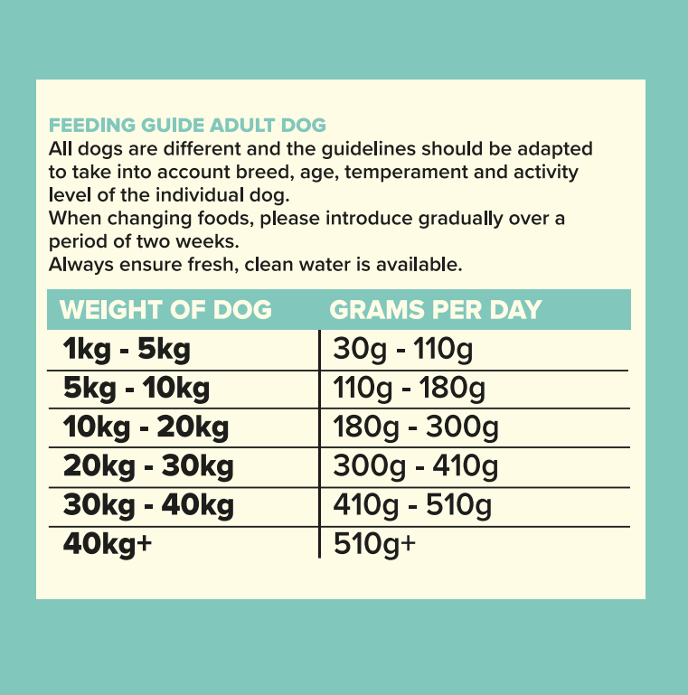 Seven Dog - Adult Duck with Sweet Potato & Orange Grain Free 2kg