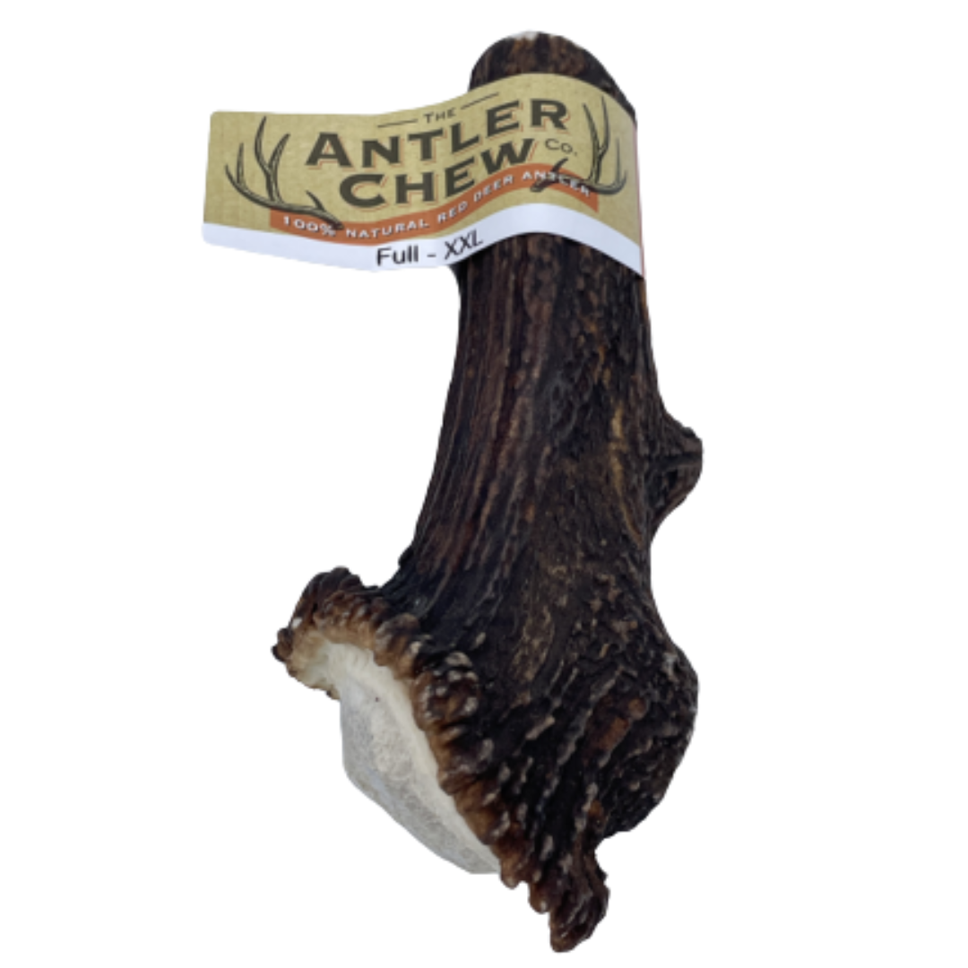 The Antler Chew Co Full Antler XXL