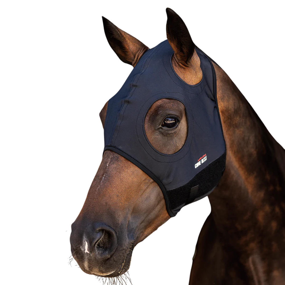 Lami-Cell Titanium Fly Mask Black