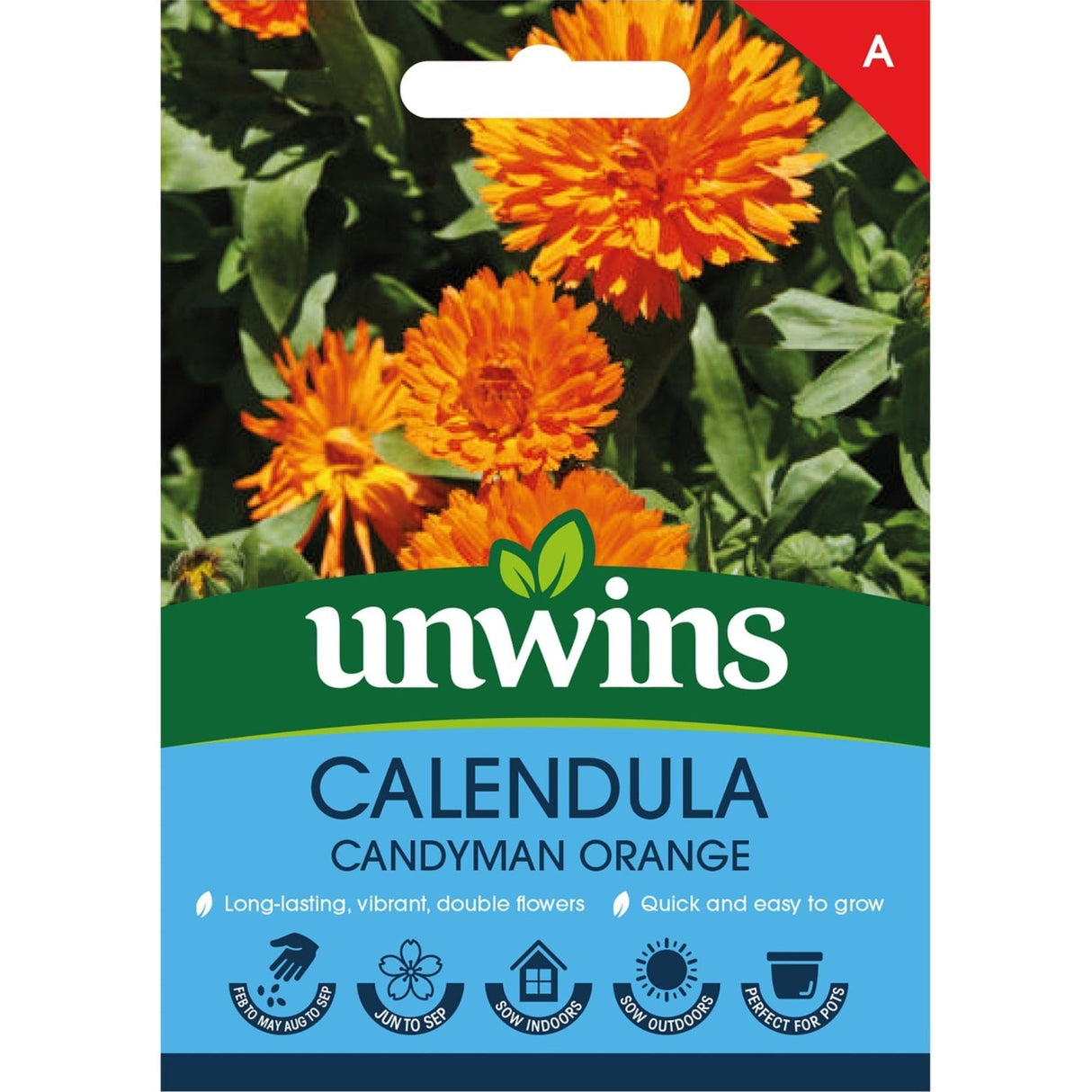 Unwins Calendula Candyman Orange