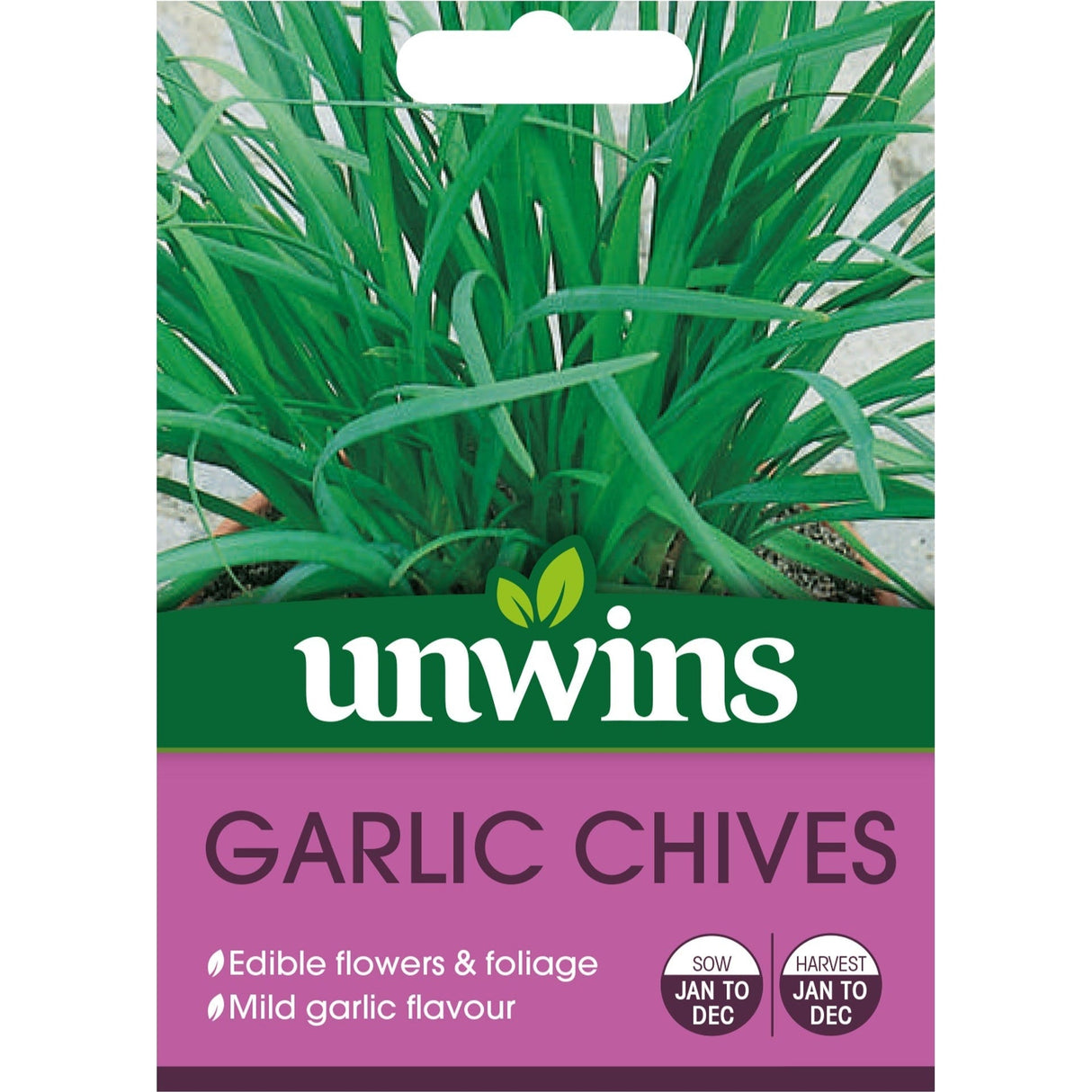 Unwins Herb Garlic Chives