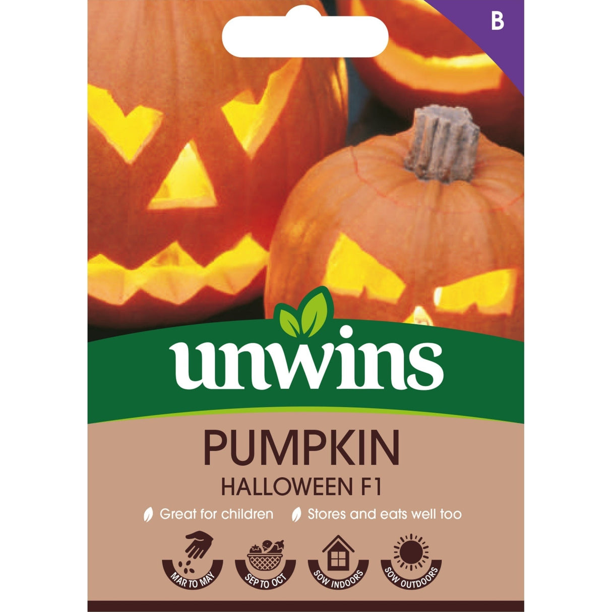 Unwins Pumpkin Halloween F1