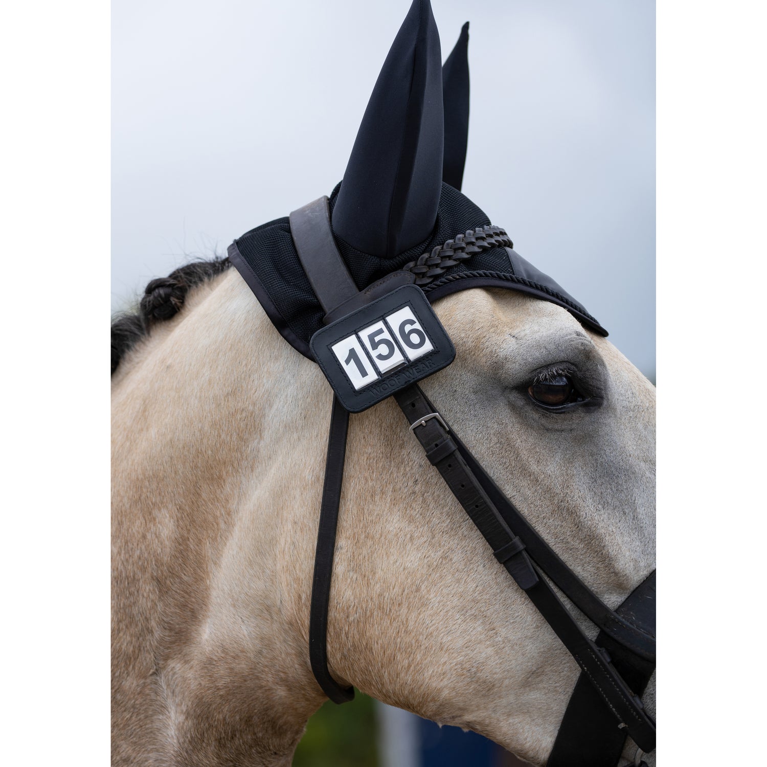 Woof Wear Bridle Number Holder Black