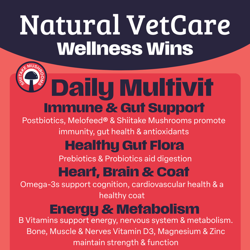 NAF NVC Daily Multivit Chew 50pk