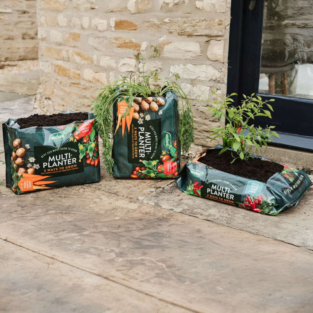 Westland Multi-Planter Peat Free Medium