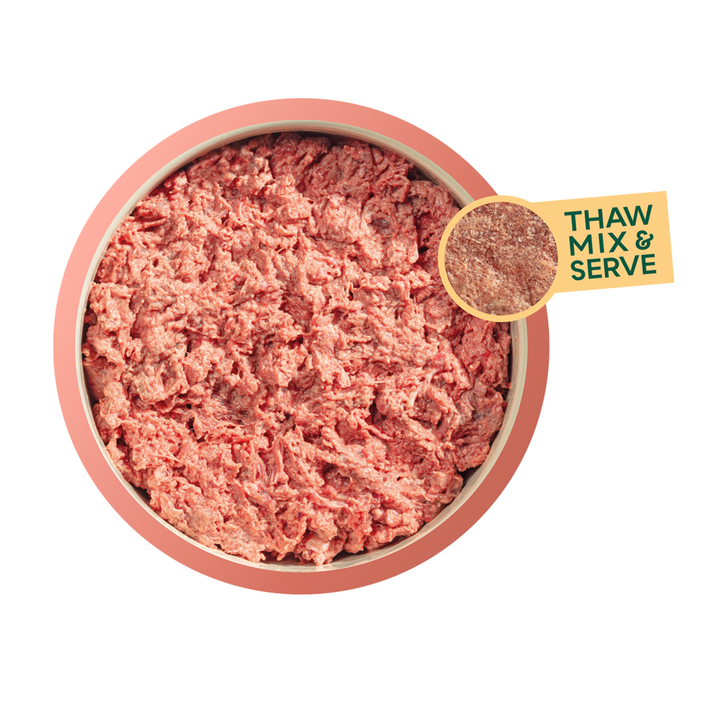 Natures Menu Dog - Frozen Just Mince Beef 400g