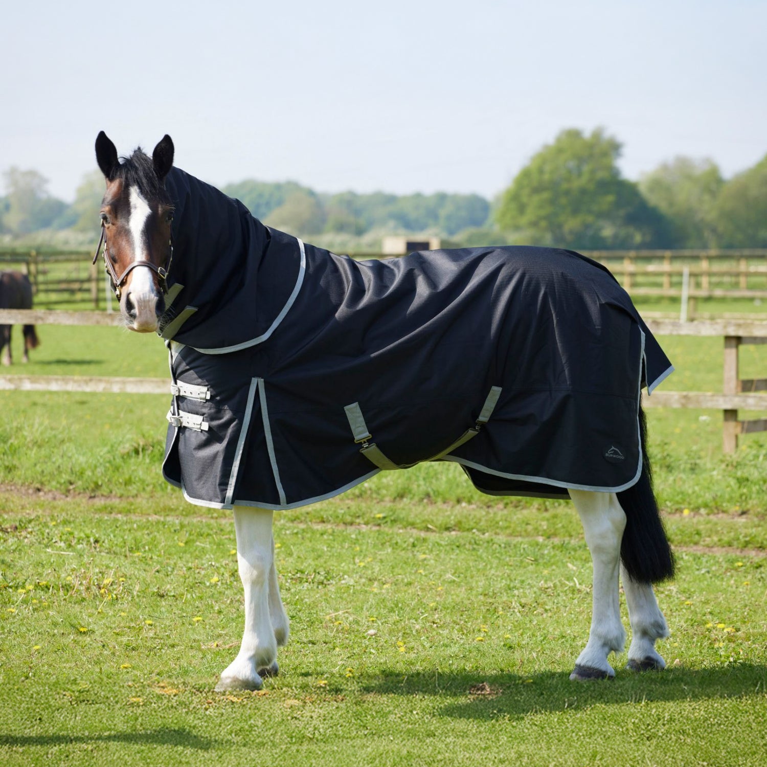 Burwood 50g Detachable Neck Turnout Rug Black/Grey
