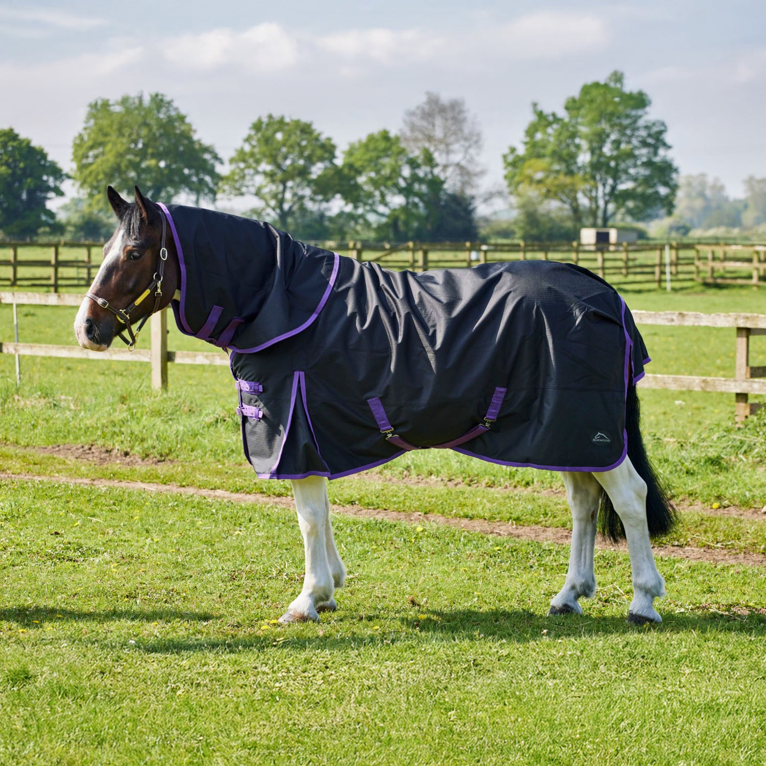 Burwood Zero Fill Detachable Neck Turnout Rug Black/Purple