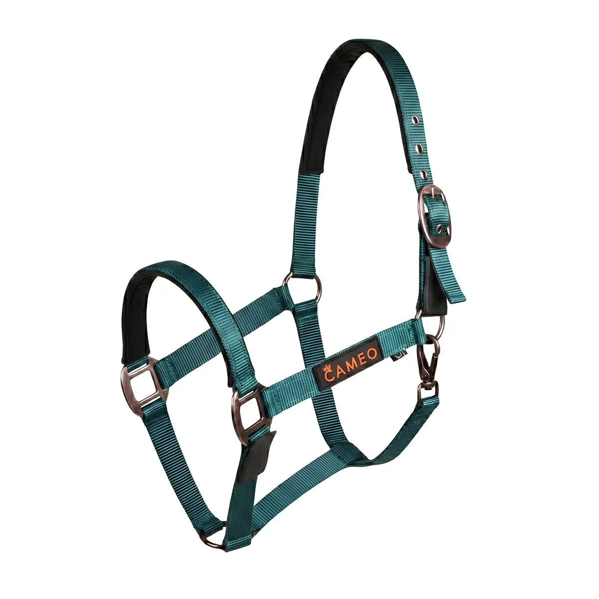Cameo Sentinel Fieldsafe Headcollar Evergreen