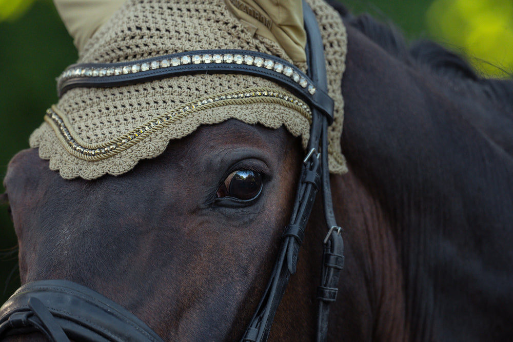Eskadron Fly Hood Crystal Heritage 25/26 Cardamom Full