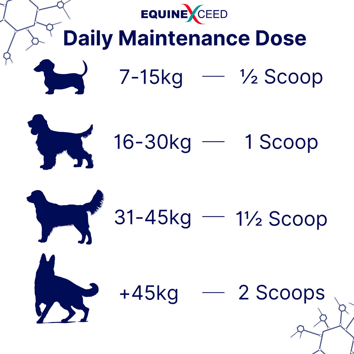 Equine Exceed K9 Joint Health 144g