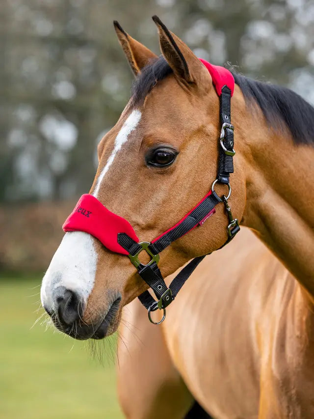 Le Mieux Vogue Fleece Headcollar & Leadrope Chilli/Black