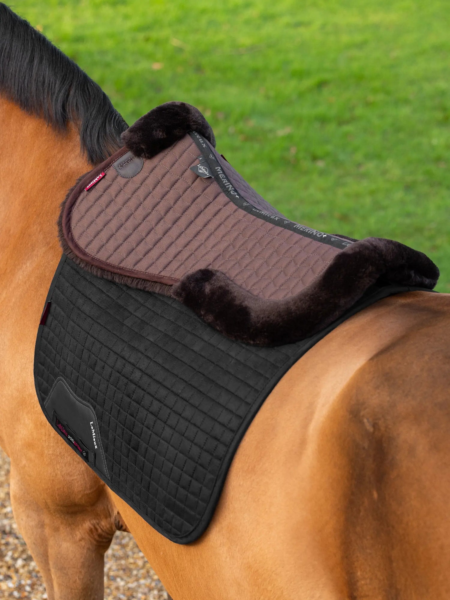 Le Mieux Merino+ Half Pad