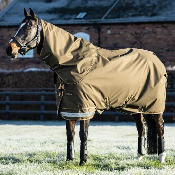Le Mieux Arika Ripstop 200g Turnout Rug Alpine