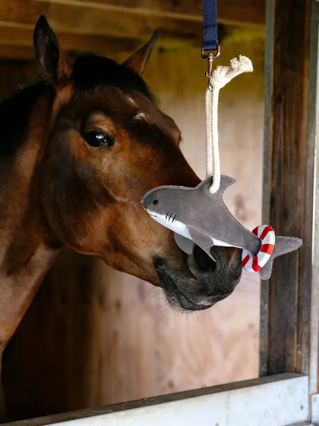 Le Mieux Horse Toy Shark