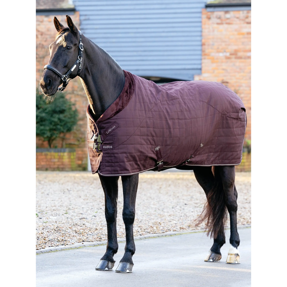 Le Mieux Kudos Luxe Lined Stable Rug Damson