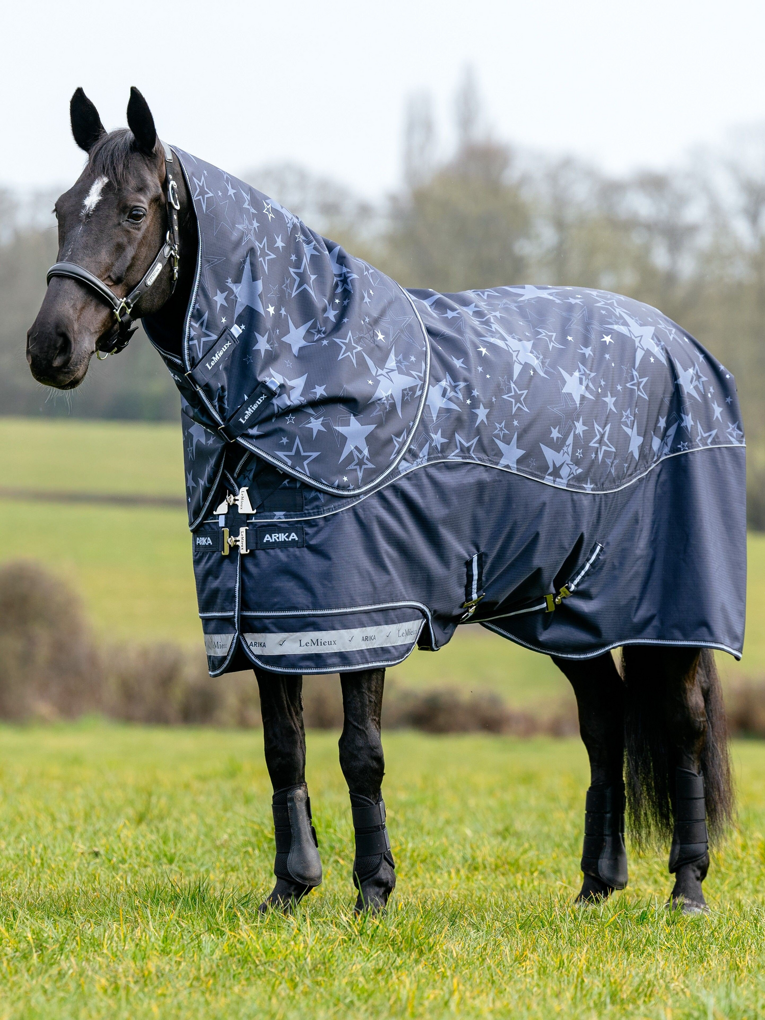 Le Mieux Arika Star 100g Turnout Rug Navy
