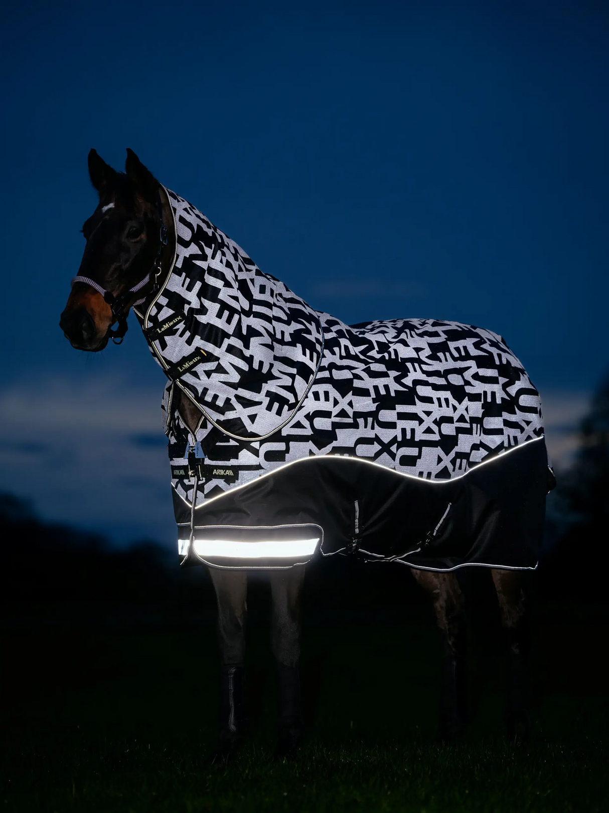 Le Mieux Arika Reflective 100g Turnout Rug Black