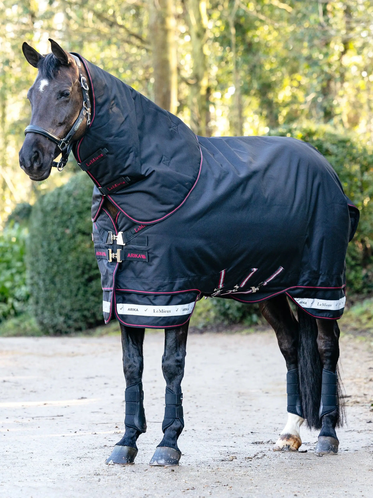 Le Mieux Arika Storm Tek 100g Turnout Rug Black