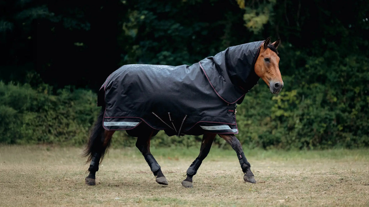 Le Mieux Arika Storm Tek 100g Turnout Rug Black