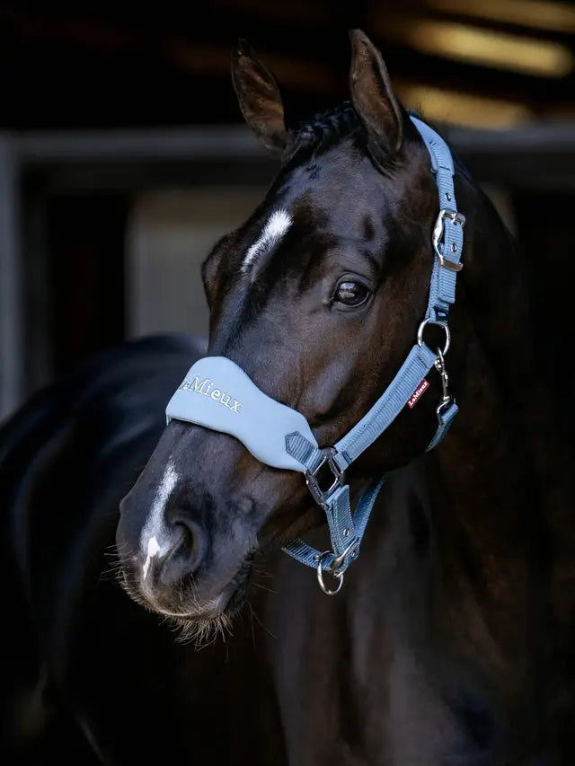 Le Mieux Breakaway Vogue Headcollar Ice Blue